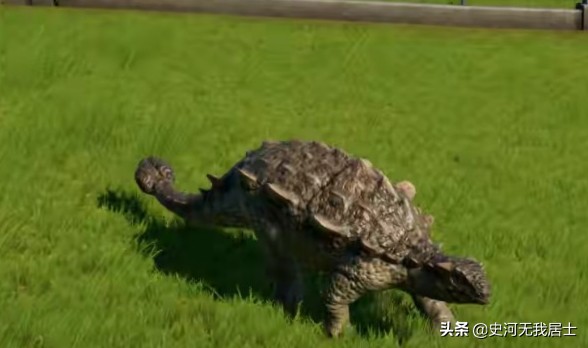 古代雅石图鉴图解,雅石图鉴抽奖视频