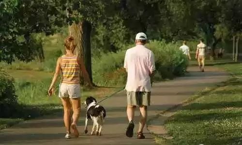 每天不吃晚饭还运动为啥没瘦,不吃晚饭天天锻炼却一斤没瘦