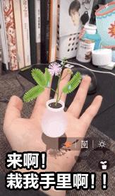 为什么今天都在发“想要你栽在我手里”？难道因为她们手里有土？