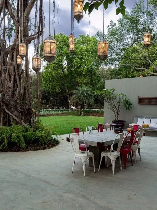 无花果树在庭院内种植有什么寓意,冷杉树长在庭院里风水上有说法吗