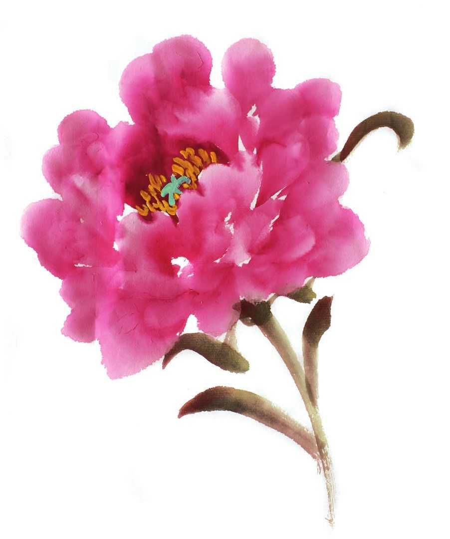 各种花的画法教程简笔画,各种花的画法大全简单漂亮