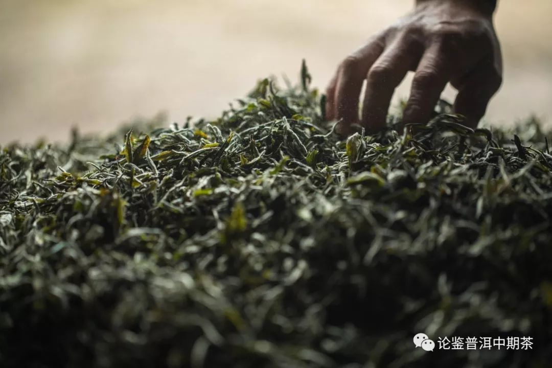 普洱茶的香气是天然的吗,普洱茶的烟韵是什么