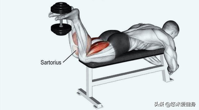 体育生在家哑铃怎么练腿部力量,如何用两个哑铃练腿部肌肉