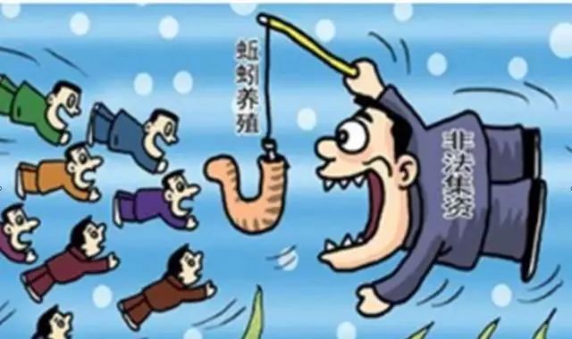 资金盘骗局解析,揭秘十几个资金盘骗局