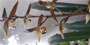 陆川找工作信息最新招聘,陆川县城最新招聘工作