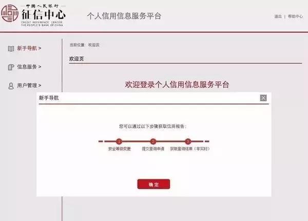 央行官网的征信报告是什么样子,央行征信中心查询的报告是详版吗