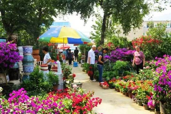 在长沙生活的你，怎么能不知道这些“*规则潜**”