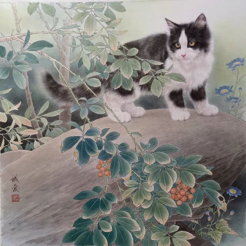 邢诚爱工笔画猫的图片,邢诚爱工笔画猫兔子高清大图