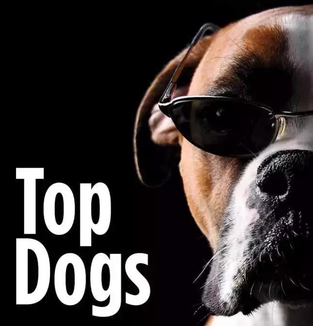 中国自动化500强,中国自动化前50强