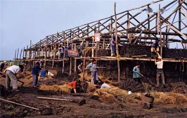 （一百九十四）红蛋