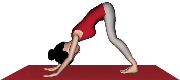 下犬式属于什么瑜伽,下犬式瑜伽调整什么