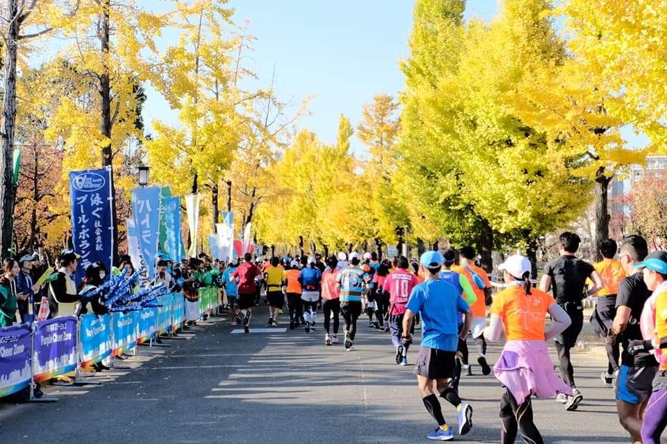 大阪马拉松跑道多少公里,日本大阪马拉松赛道怎么样