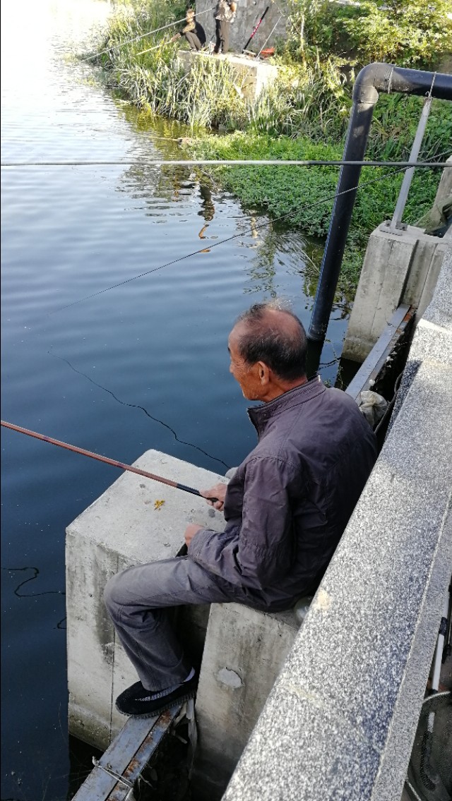 天凉了野钓该怎么钓,天热钓鲫鱼的正确方法