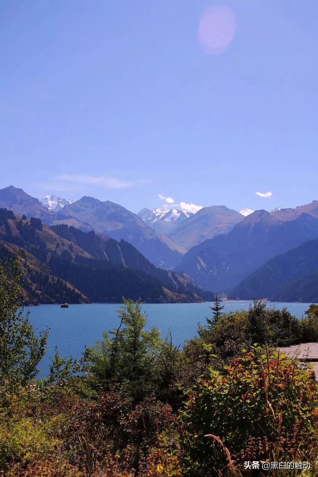 都说新疆好去新疆发展可靠么,都说新疆好地方