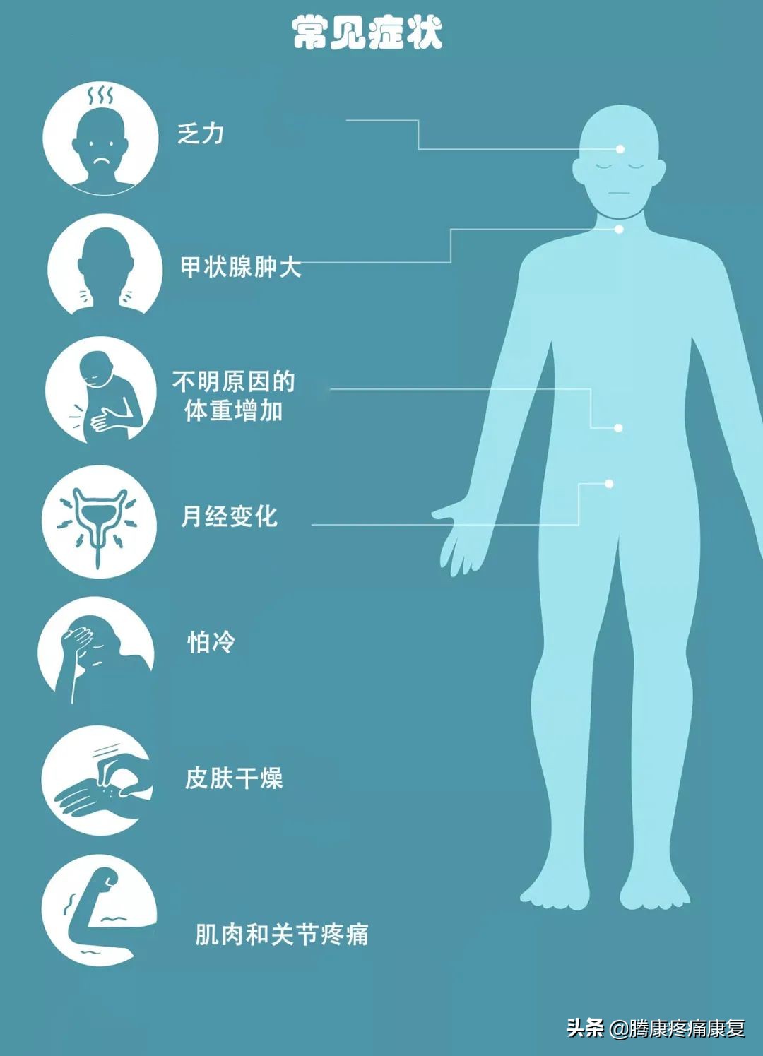桥本甲状腺炎90天治疗方案,nac对桥本甲状腺炎的作用