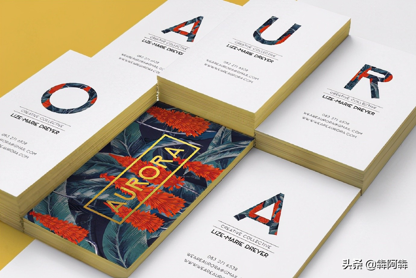 aurora极光日式,aurora极光logo