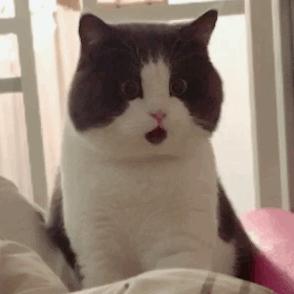 日本收缩毛孔的护肤品排行榜,日本抗衰老护肤品排行榜