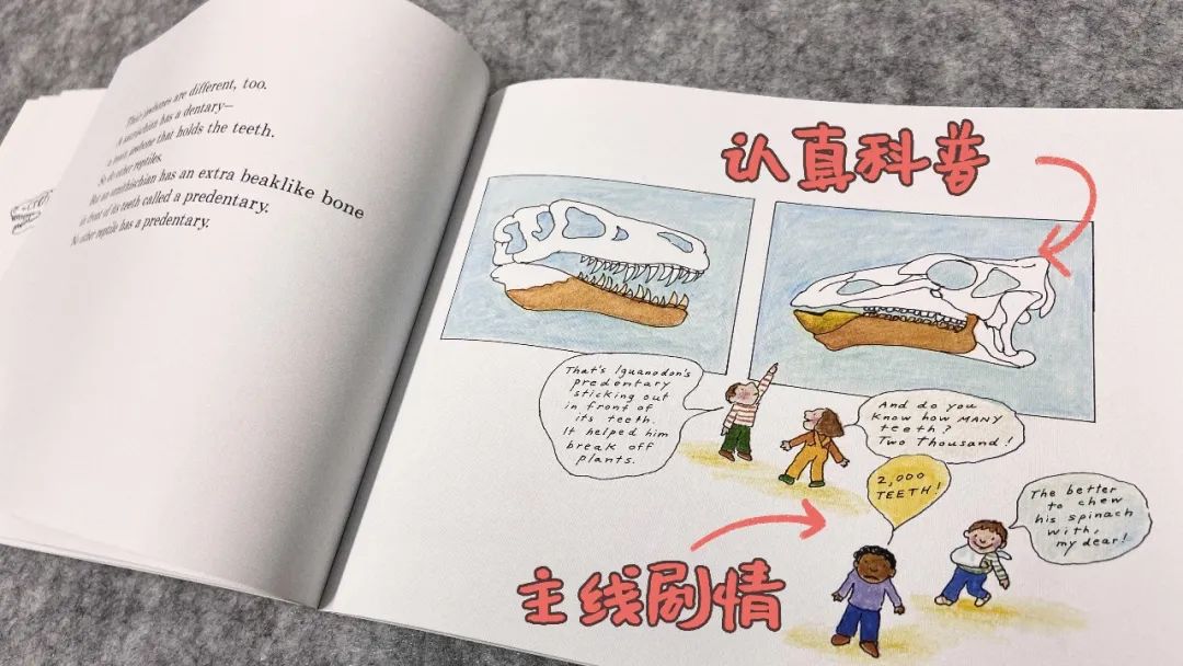 探秘恐龙世界关于恐龙的资料,恐龙世界科普知识