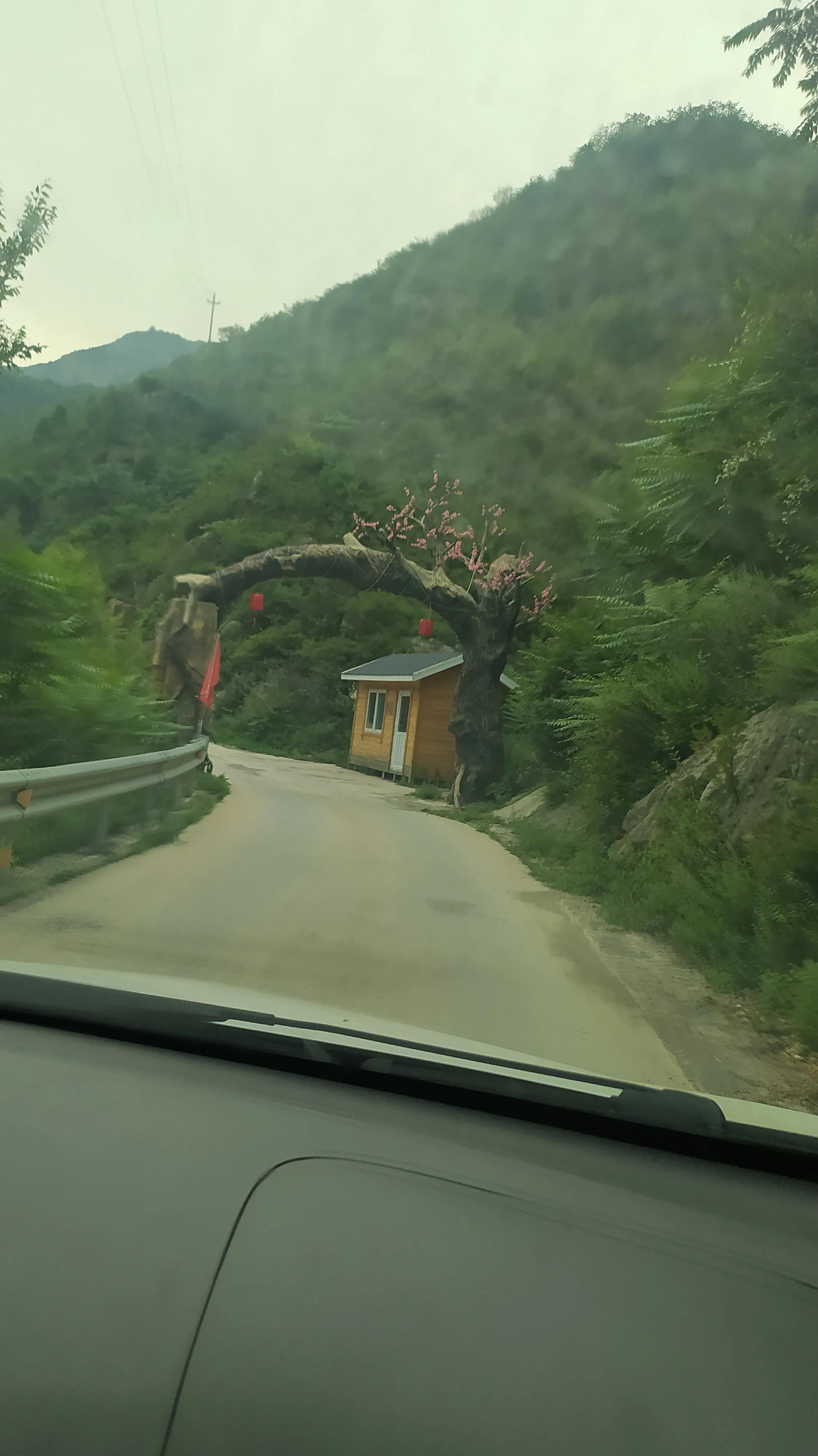 仙居姚岸避暑胜地,避暑胜地仙居村