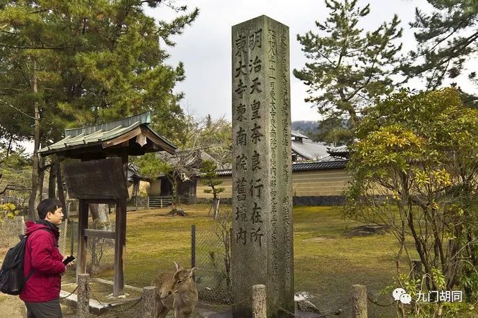 奈良世界文化遗产,东大寺世界遗产