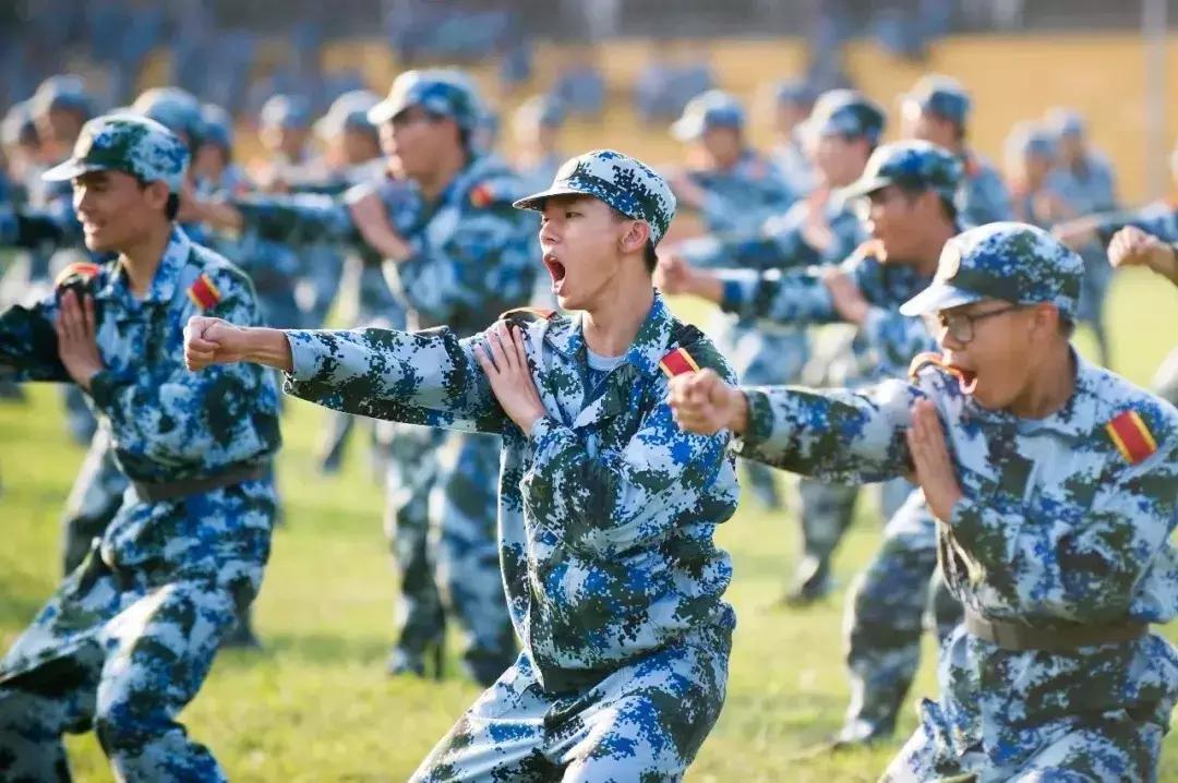 天津18所学校,天津教育机构被查