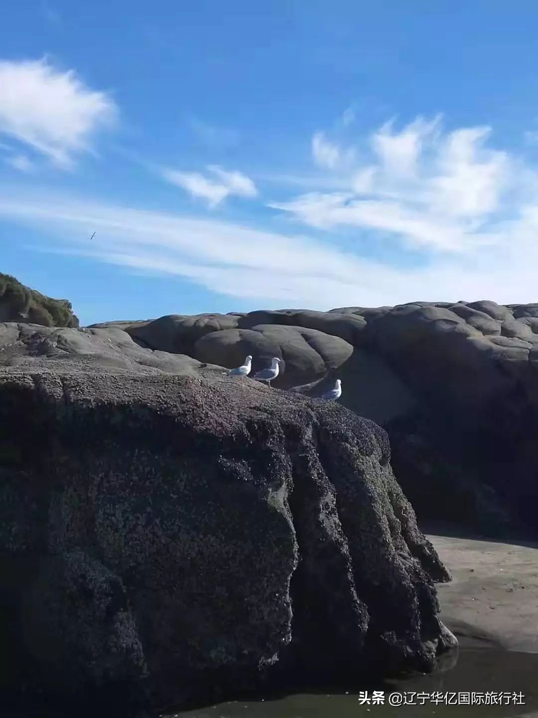 看世界震撼视频,看世界的震撼