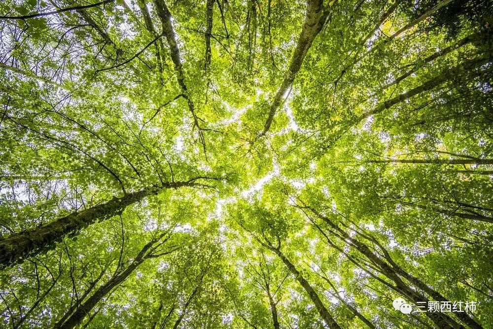 如何知道自己的梦代表什么,怎么知道自己梦到什么