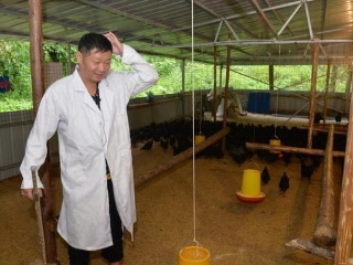 三德子娶了多少老板,三德子嫁了谁