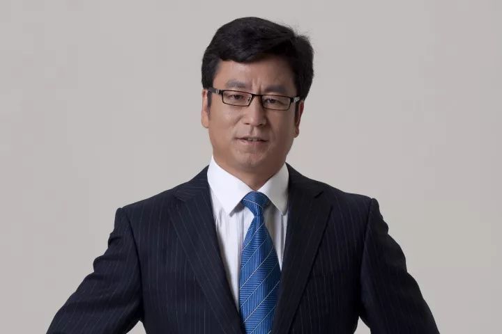 王朔对白岩松的点评一针见血,王朔对白岩松的评价很精辟