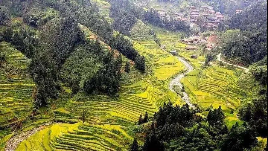 有效防止因疫因病返贫致贫,做好对因疫致贫返贫人口的帮扶