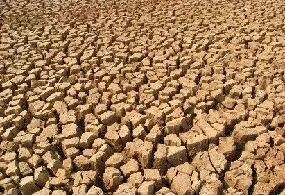 舔舔舔!唇炎找上门来怎么办?!