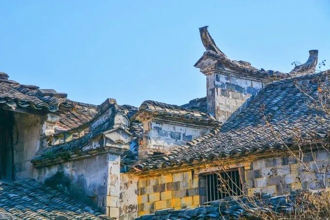 台州藏在深山里的世外桃源,台州家乡春天的美景