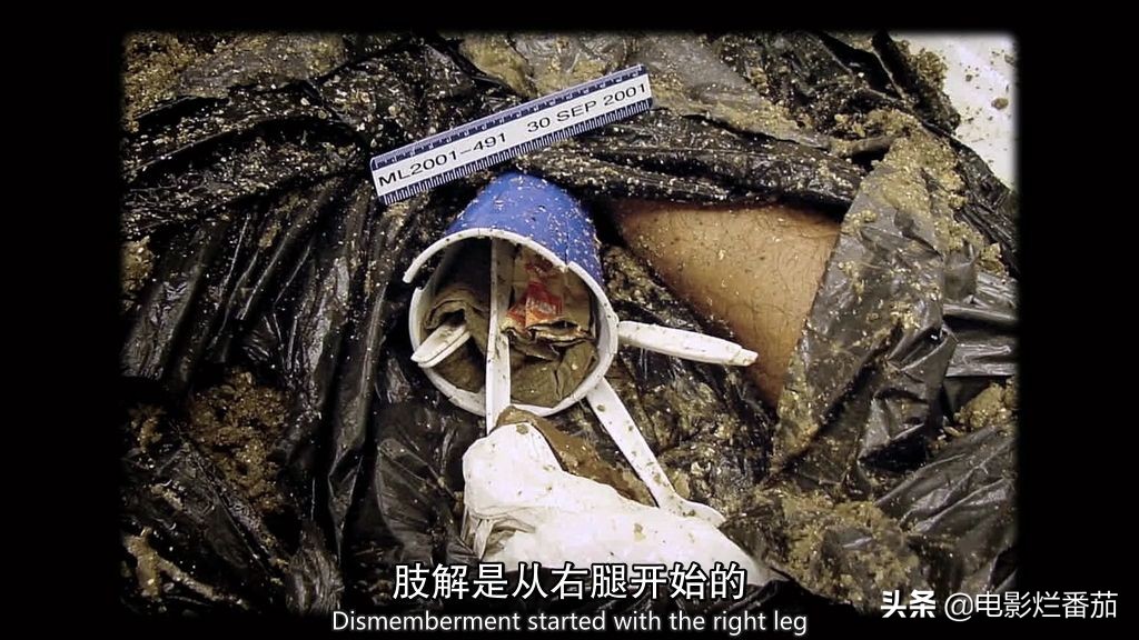 世界著名连环杀手纪录片,纪录片美国华裔富豪