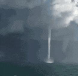 这两位大哥真牛，不知这树还能让他们爽多久