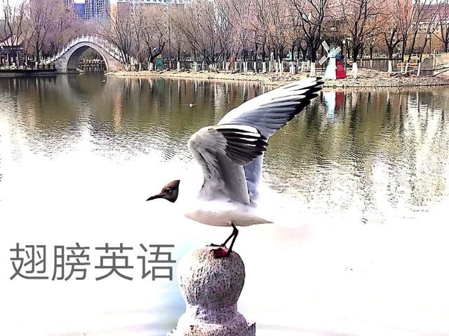 英语说天气很热的视频,英语说天气很热的谚语