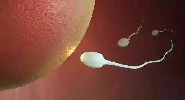 女性「生育力」强不强，主要看这四个地方！你占了几个？