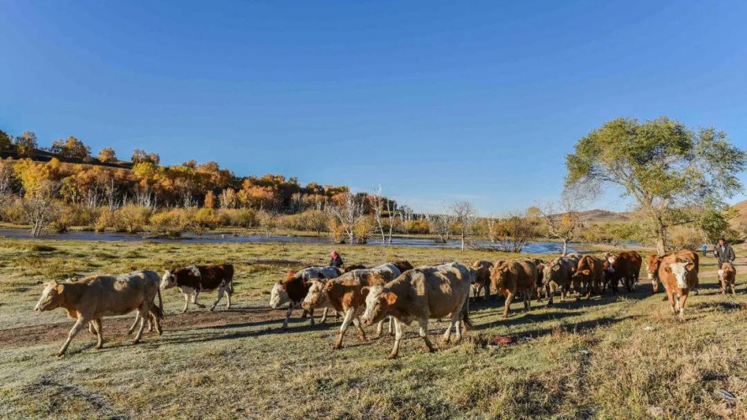 我们这一辈的知青歌曲完整版,教唱我们这一辈