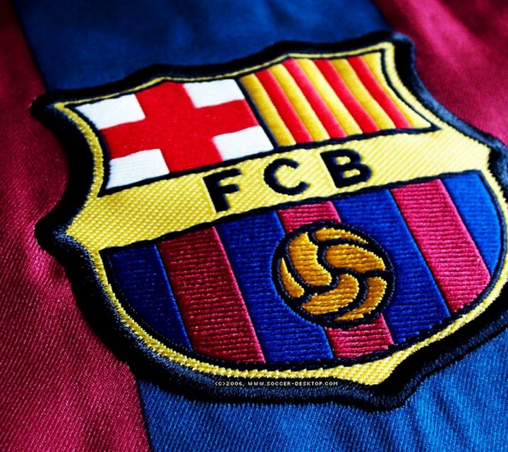 各足球队队徽大全,30个球队的队徽