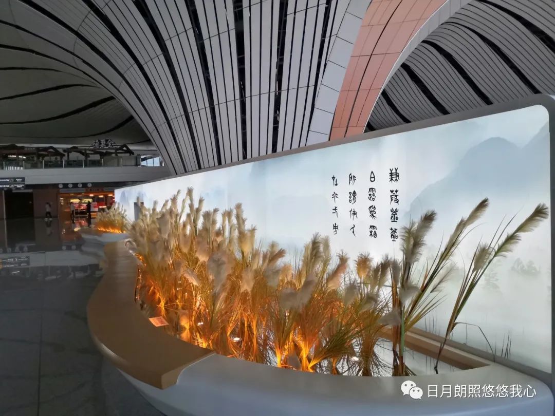 我见青山多妩媚全文,我见青山多妩媚