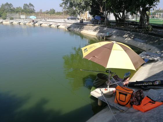 新手选鱼竿怎么选,新手怎么选鱼竿最合适