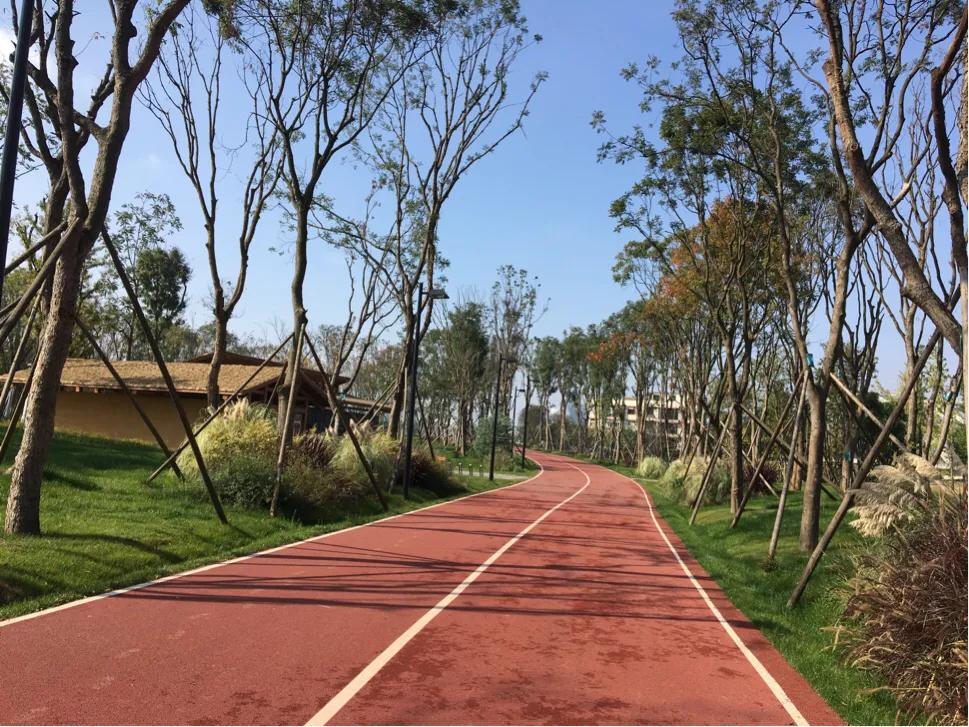 住在成都郊区别墅的体验,成都住在哪个区生活最舒服