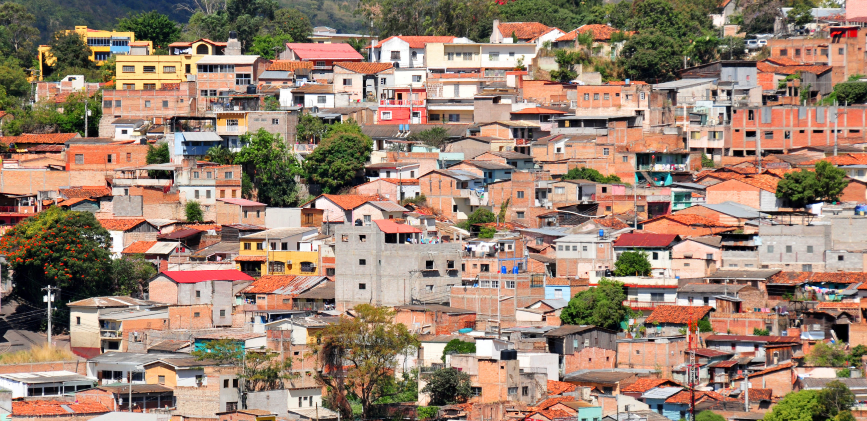 哪个国家因为足球比赛而停止内战,足球史上最激烈的冲突