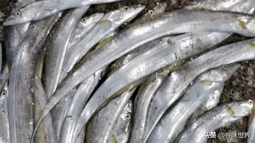 海鱼有哪些人工养殖不了的,不能人工养殖的海鱼市场上有哪些