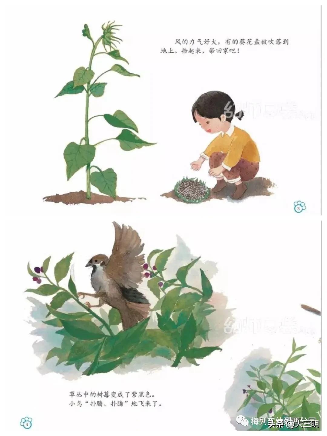 「家园齐心共战疫情」梅列实幼列西分园亲子“爱•悦课堂”中班(第四期)