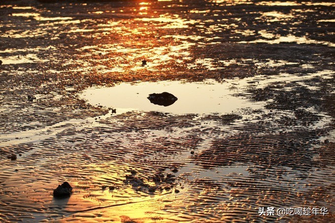 营口团山海洋公园是北海公园吗,营口团山海洋公园和金帛滩哪个好