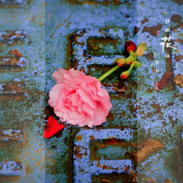 苹果手机的修图软件,如何使用手机修图软件泼辣修图