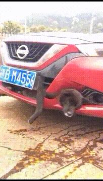 搞笑GIF动图:小姐姐,你体验木乃伊的制作过程,能坚持几分钟