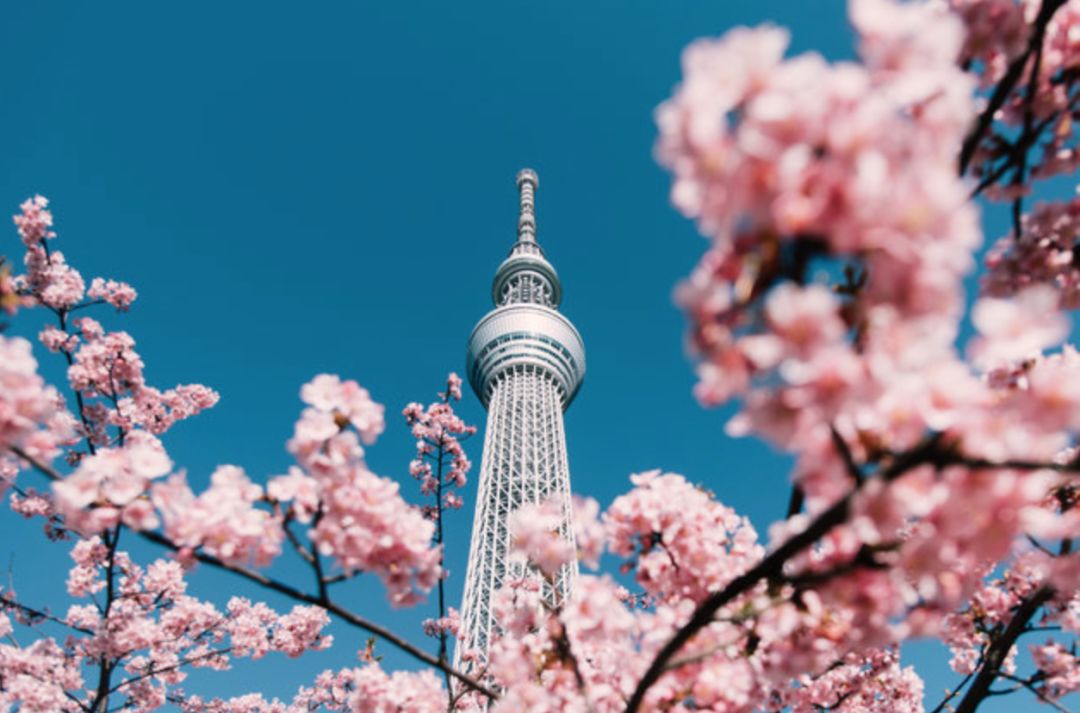 今年夏天，这波设计师系列让你张张站C位！