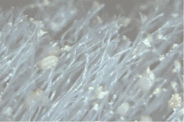 小红书的神器,旅游神器小红书