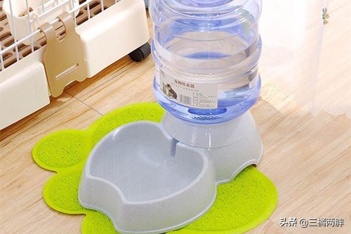 奇妙猫咪世界里猫咪怎么变少了,奇妙猫咪物语闹猫